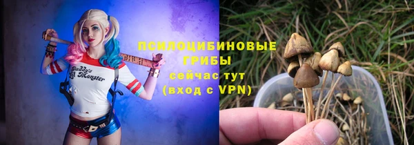 гашик Балахна