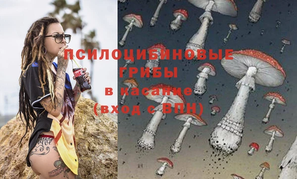 гашик Балахна