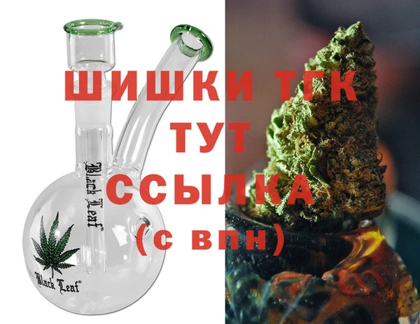 гашик Балахна
